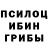 Галлюциногенные грибы GOLDEN TEACHER Hooked J