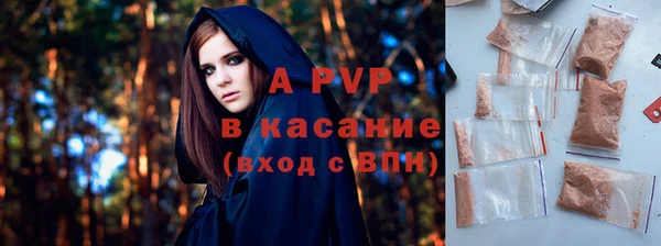 индика Беломорск