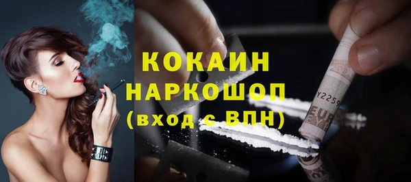 индика Беломорск