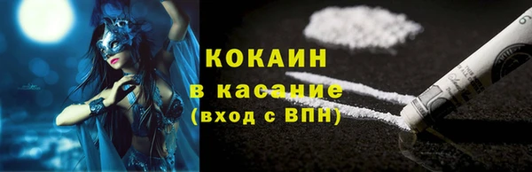 индика Беломорск