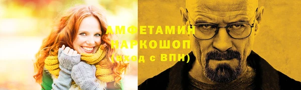индика Беломорск