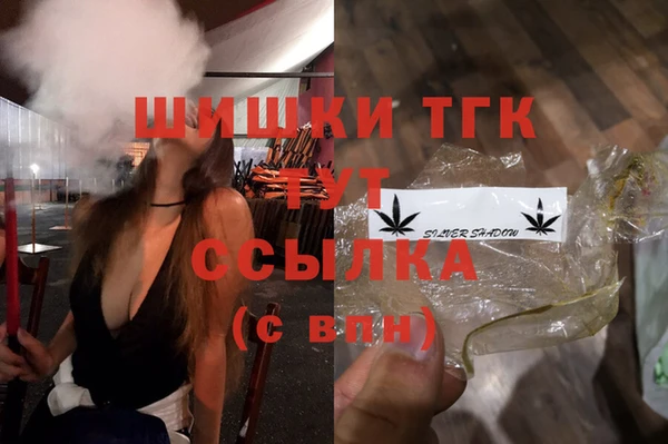 индика Беломорск