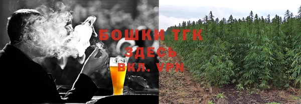 индика Беломорск