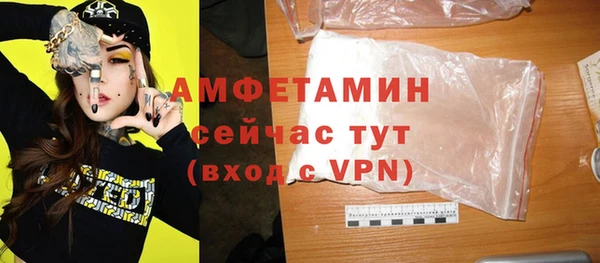 индика Беломорск