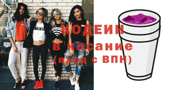 индика Беломорск