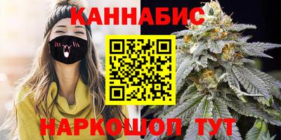 СК Боровичи