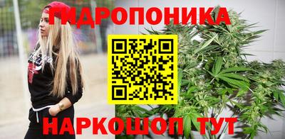 СК Боровичи