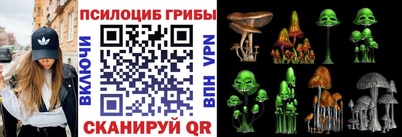 Галлюциногенные грибы Cubensis  Видное 