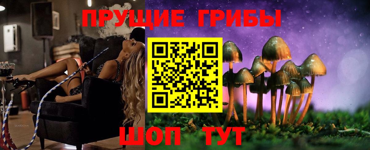 Галлюциногенные грибы мицелий Видное