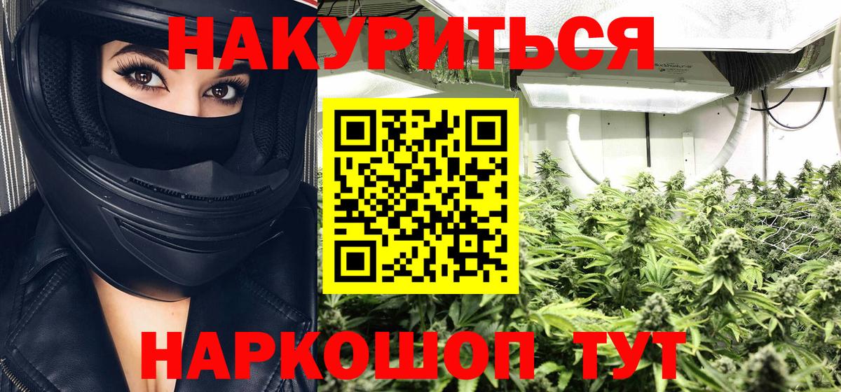 Бошки Шишки план  Конопля сатива  Вход с VPN  Видное 